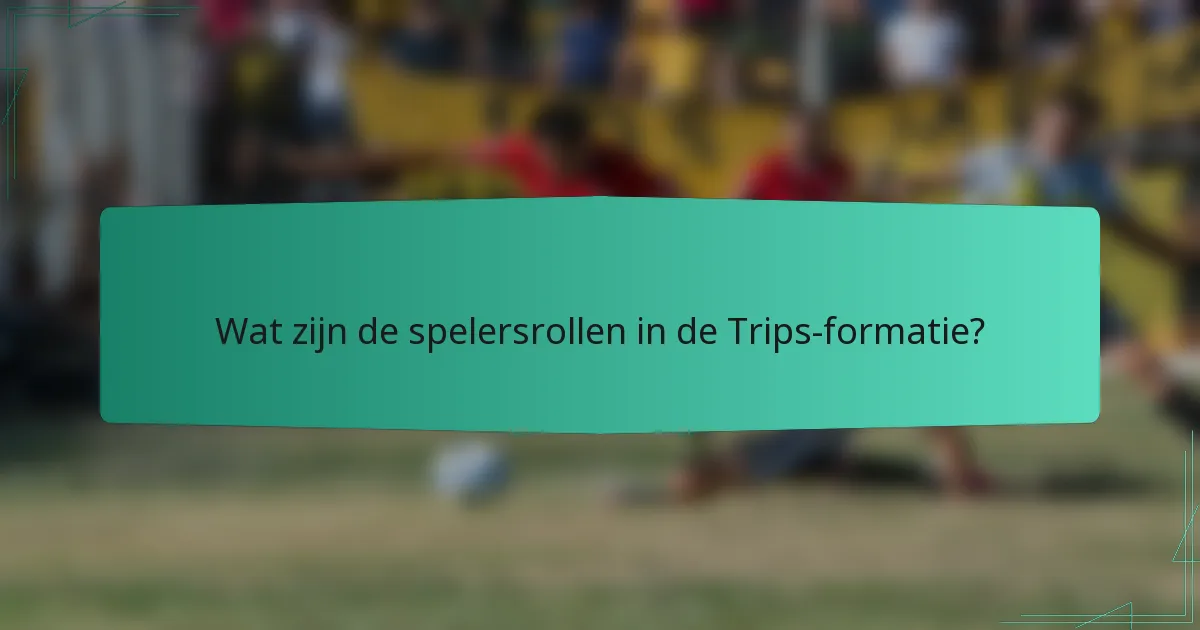 Wat zijn de spelersrollen in de Trips-formatie?